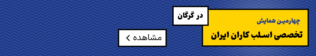 اسلب کاران ایران